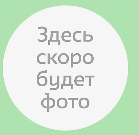 Наслаждение яблоко 1,5 кг ВИКТОРИЯ