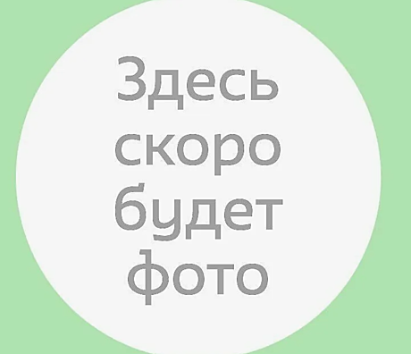 Пирог Галландский(постный) 1,5 кг ВИКТОРИЯ