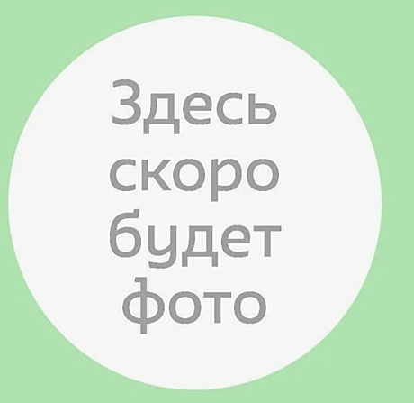 Пирожные медовые ИДЕАЛ с кремом нутелла 2 кг СВИТ ХАУС